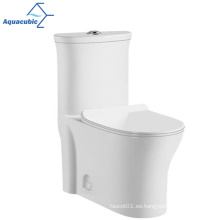 Aquacúbico Nuevo estilo de diseño Washdown Gravity Flushing One Piece inodoro